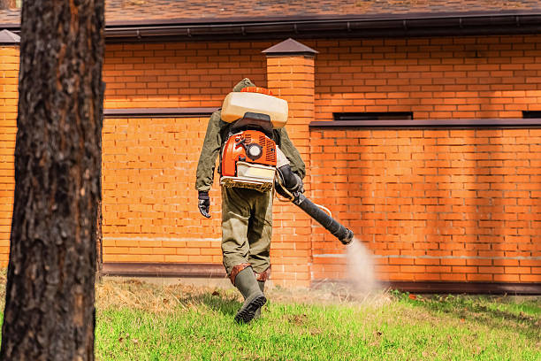 Trusted Rodent Control service in Dauphin, PA - Nex Pest Control